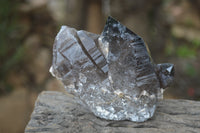 Natural Smokey Quartz Crystal Specimens x 4 From Zomba, Malawi