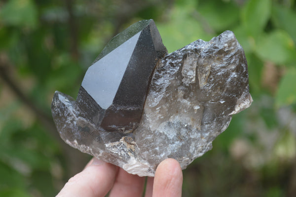 Natural Smokey Quartz Crystal Specimens x 4 From Zomba, Malawi