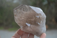 Natural Smokey Quartz Crystal Specimens x 4 From Zomba, Malawi