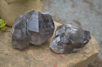 Natural Smokey Quartz Crystal Specimens x 4 From Zomba, Malawi