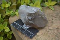 Natural Smokey Quartz Crystal Specimens x 4 From Zomba, Malawi