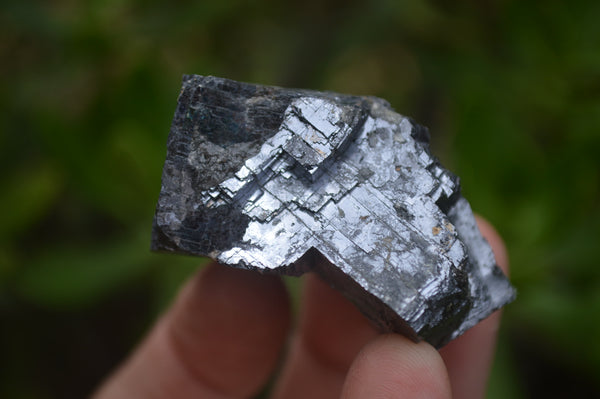 Natural Silver Lead Galena Specimens x 8 From Namibia