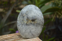 Polished Dendritic Opal Standing Free Forms x 3 From Madagascar