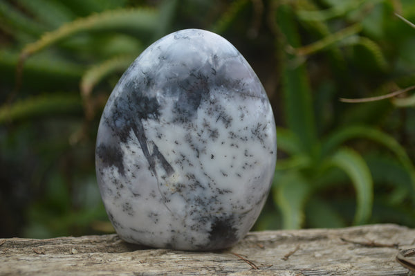 Polished Dendritic Opal Standing Free Forms x 3 From Madagascar