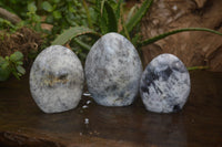 Polished Dendritic Opal Standing Free Forms x 3 From Madagascar