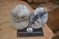 Polished Dendritic Opal Standing Free Forms x 3 From Madagascar