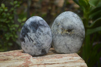 Polished Dendritic Opal Standing Free Forms x 3 From Madagascar