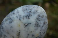 Polished Dendritic Opal Standing Free Forms x 3 From Madagascar