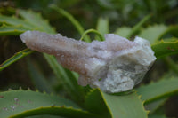 Natural Ametrine Spirit Quartz Clusters x 12 From Boekenhouthoek, South Africa