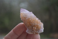 Natural Ametrine Spirit Quartz Clusters x 12 From Boekenhouthoek, South Africa