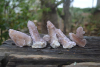 Natural Ametrine Spirit Quartz Clusters x 12 From Boekenhouthoek, South Africa