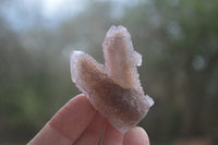 Natural Ametrine Spirit Quartz Clusters x 12 From Boekenhouthoek, South Africa