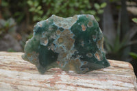 Polished On One Side Emerald Mtorolite x 6 From Mutorashanga, Zimbabwe