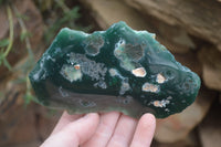 Polished On One Side Emerald Mtorolite x 6 From Mutorashanga, Zimbabwe