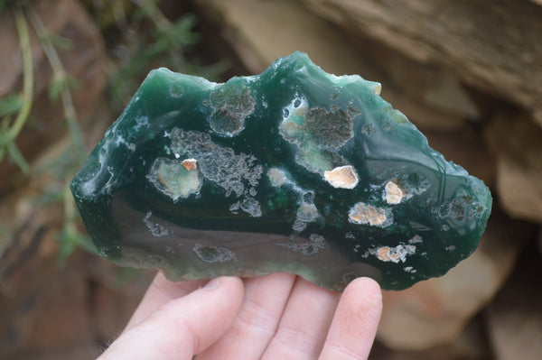 Polished On One Side Emerald Mtorolite x 6 From Mutorashanga, Zimbabwe