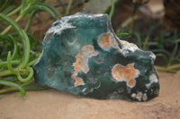 Polished On One Side Emerald Mtorolite x 6 From Mutorashanga, Zimbabwe