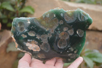 Polished On One Side Emerald Mtorolite x 6 From Mutorashanga, Zimbabwe