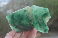 Polished On One Side Emerald Mtorolite x 6 From Mutorashanga, Zimbabwe