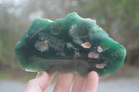 Polished On One Side Emerald Mtorolite x 6 From Mutorashanga, Zimbabwe