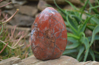 Polished Red Jasper Standing Free Forms x 2 From Madagascar