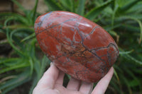 Polished Red Jasper Standing Free Forms x 2 From Madagascar