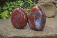 Polished Red Jasper Standing Free Forms x 2 From Madagascar