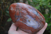 Polished Red Jasper Standing Free Forms x 2 From Madagascar