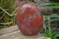 Polished Red Jasper Standing Free Forms x 2 From Madagascar