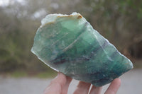 Natural Watermelon Fluorite Cobbed Specimens x 4 From Uis, Namibia