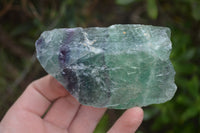 Natural Watermelon Fluorite Cobbed Specimens x 4 From Uis, Namibia