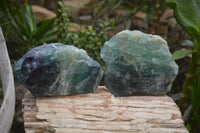 Natural Watermelon Fluorite Cobbed Specimens x 4 From Uis, Namibia