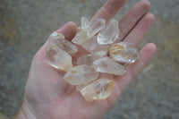 Natural Clear Quartz Crystals x 63 From Zimbabwe