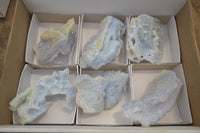 Natural Etched Blue Chalcedony Specimens x 6 From Nsanje, Malawi