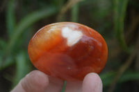 Polished Carnelian Palm Stones x 20 From Madagascar