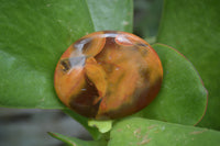 Polished Carnelian Palm Stones x 20 From Madagascar