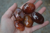 Polished Carnelian Palm Stones x 20 From Madagascar