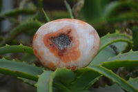 Polished Carnelian Palm Stones x 20 From Madagascar