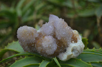 Natural Amethyst Spirit Quartz Clusters x 6 From Boekenhouthoek, South Africa