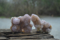 Natural Amethyst Spirit Quartz Clusters x 6 From Boekenhouthoek, South Africa