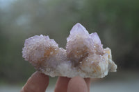 Natural Amethyst Spirit Quartz Clusters x 6 From Boekenhouthoek, South Africa