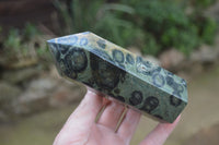 Polished Stromatolite Jasper Points x 3 From Madagascar