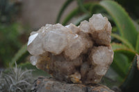 Natural White Phantom Smokey Quartz Clusters x 2 From Luena, Congo