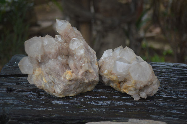 Natural White Phantom Smokey Quartz Clusters x 2 From Luena, Congo