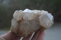 Natural White Phantom Smokey Quartz Clusters x 2 From Luena, Congo