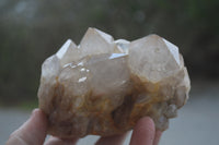 Natural White Phantom Smokey Quartz Clusters x 2 From Luena, Congo