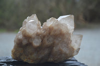 Natural White Phantom Smokey Quartz Clusters x 2 From Luena, Congo