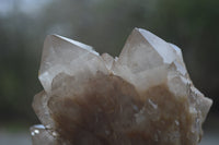 Natural White Phantom Smokey Quartz Clusters x 2 From Luena, Congo