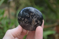 Polished Black Tourmaline Palm Stones x 24 From Madagascar