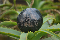 Polished Black Tourmaline Palm Stones x 24 From Madagascar