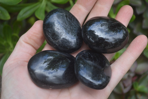 Polished Black Tourmaline Palm Stones x 24 From Madagascar